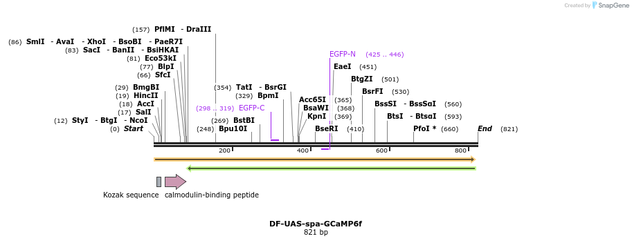 121640_map