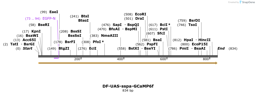 121642_map
