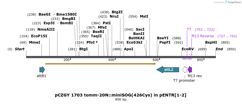 121645_map