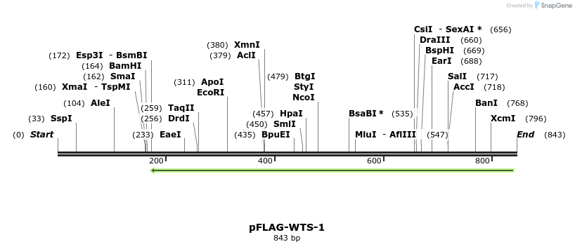 121653_map