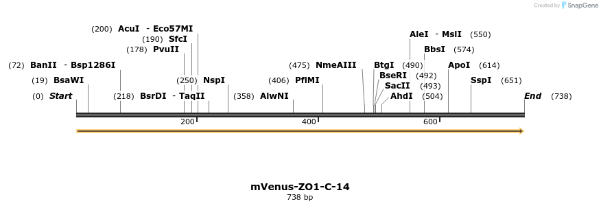 121657_map