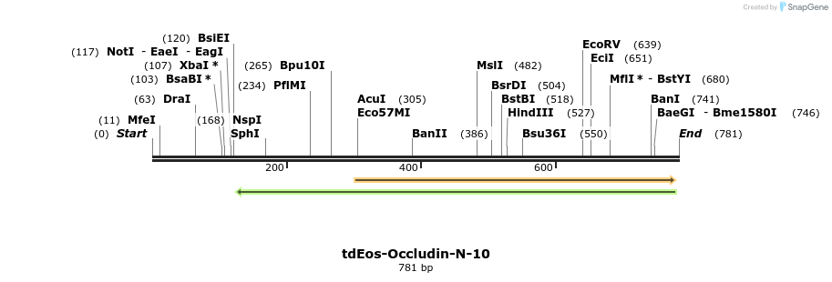 121660_map