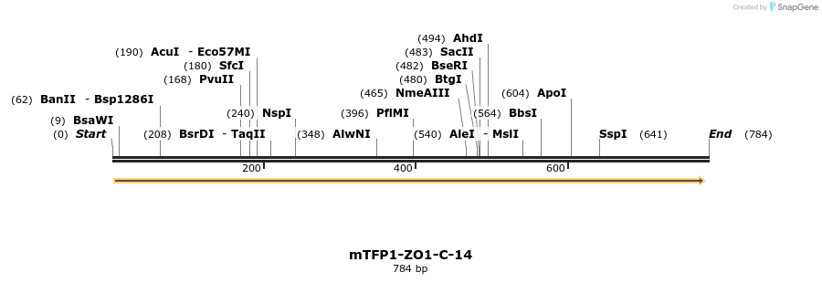 121663_map