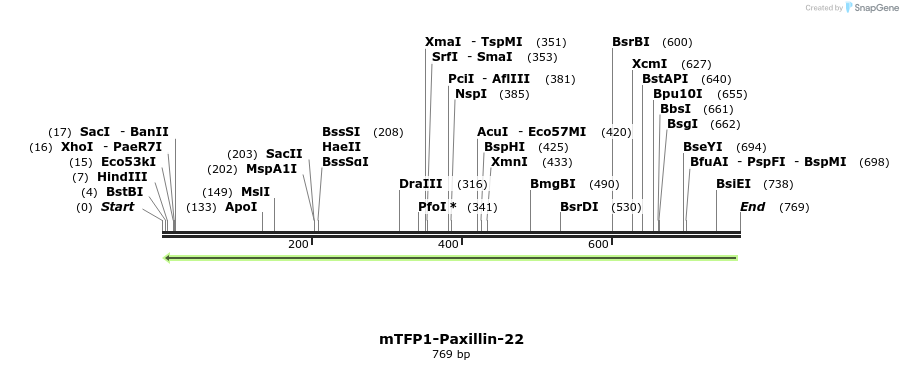 121665_map