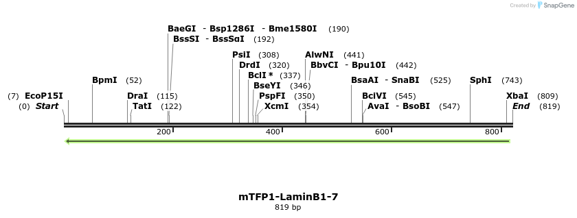 121668_map