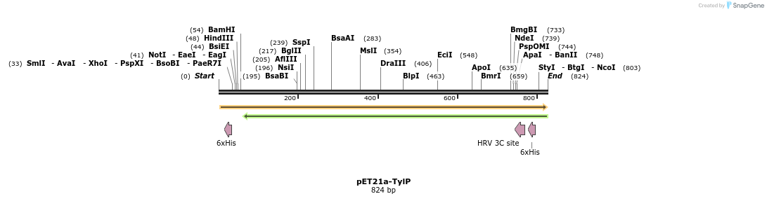 121669_map