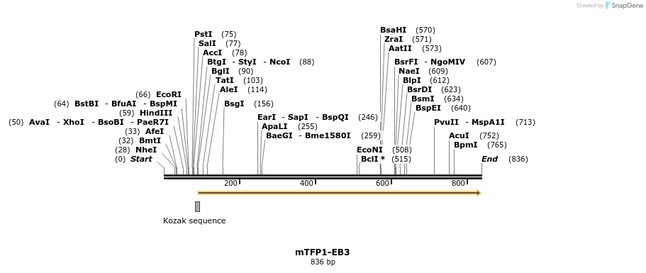 121672_map