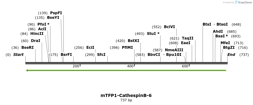 121673_map