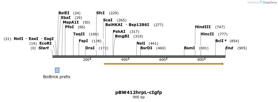 121674_map