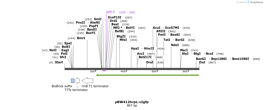 121675_map