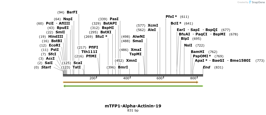 121677_map