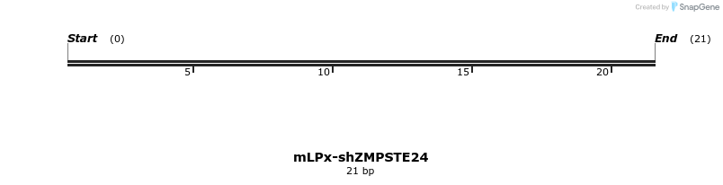 121678_map