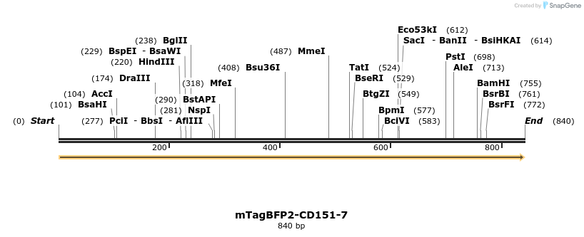 121685_map