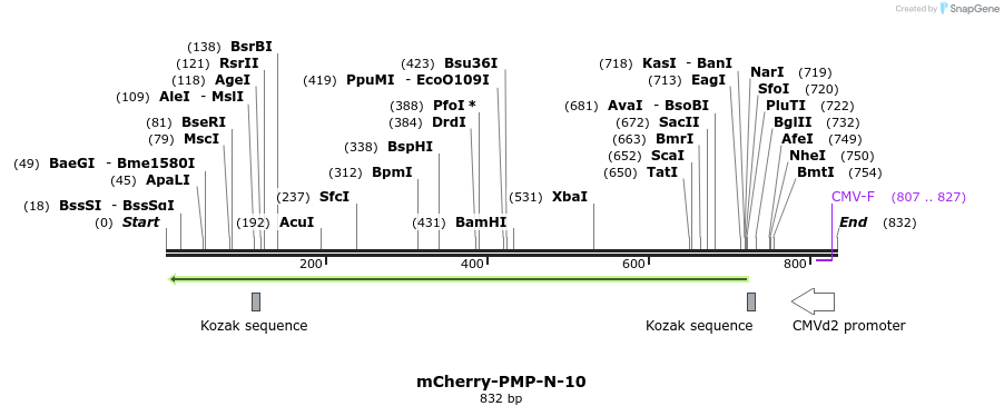 121690_map