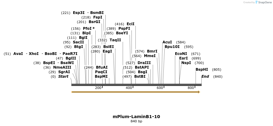 121694_map