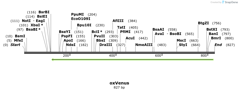 121699_map