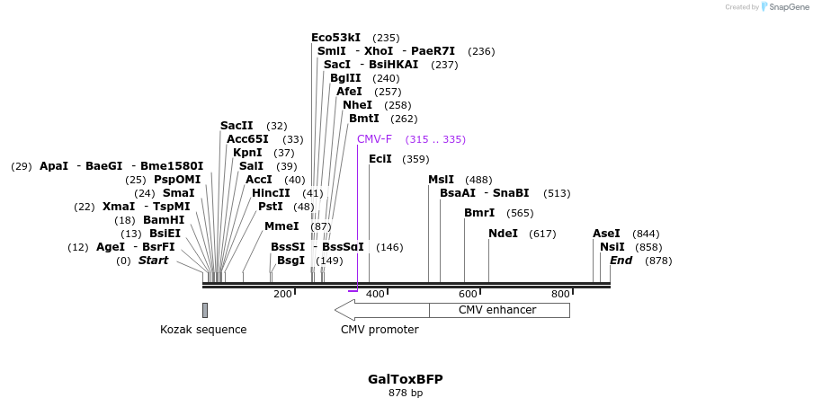 121704_map