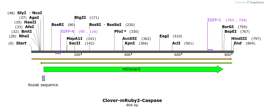 121705_map