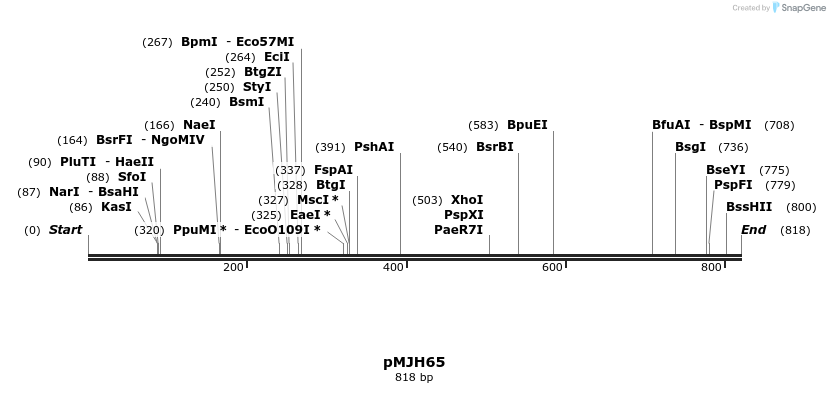 121708_map