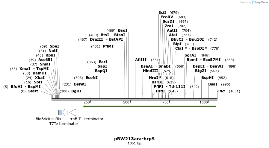 121710_map