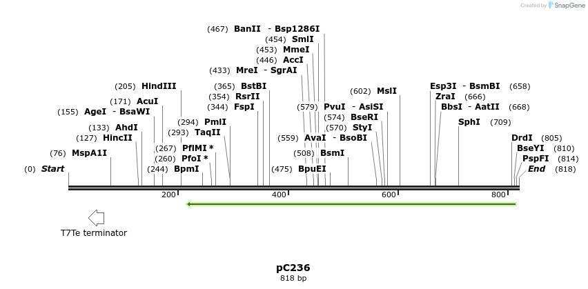 121712_map