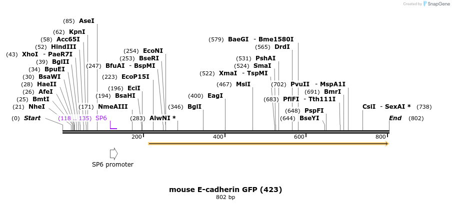 121713_map