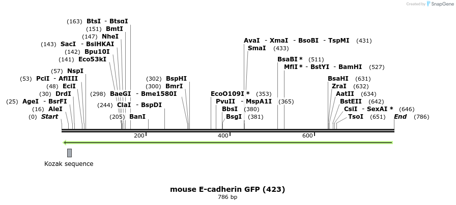 121714_map