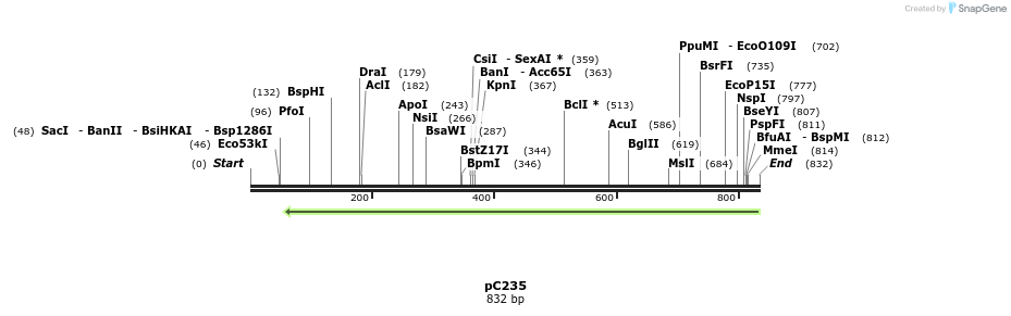 121719_map