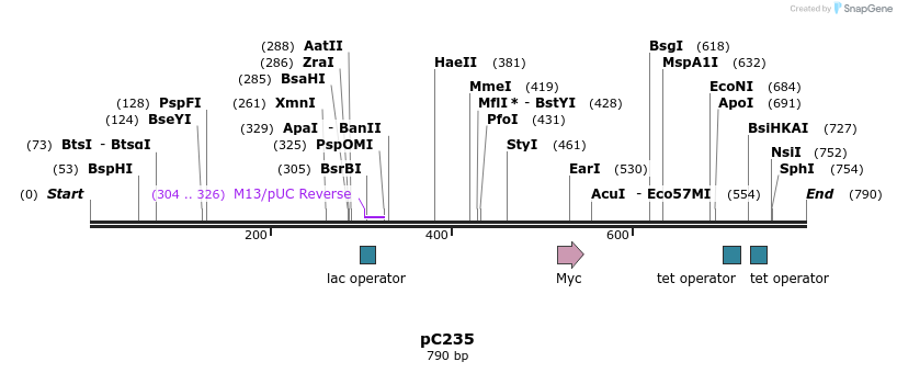 121720_map