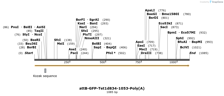 121723_map