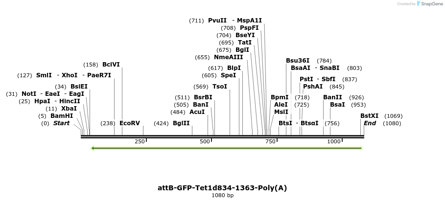 121724_map
