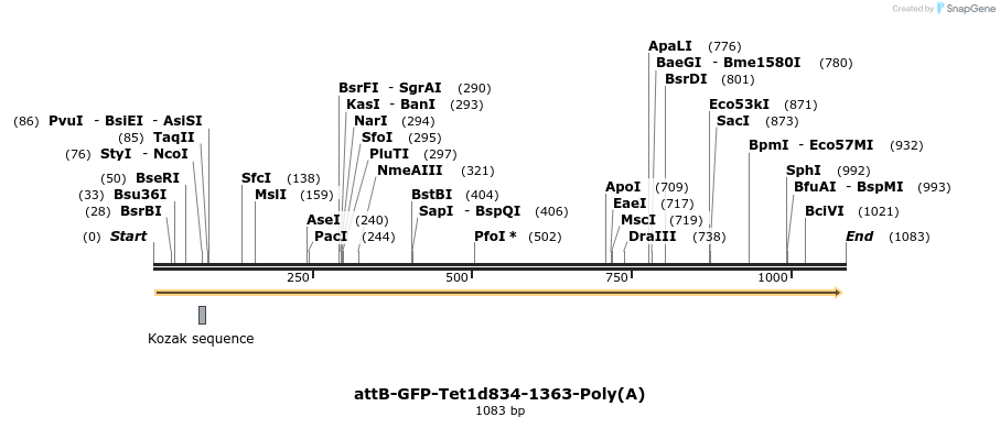 121725_map