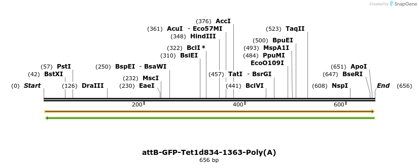121726_map
