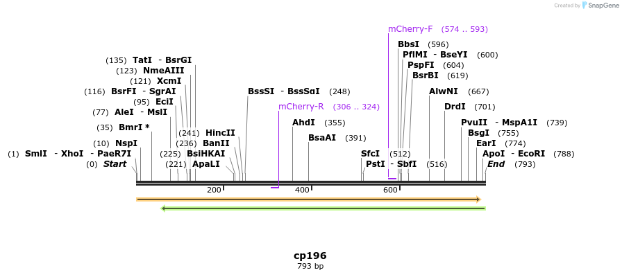 12173_map