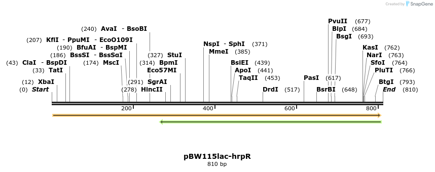 121738_map