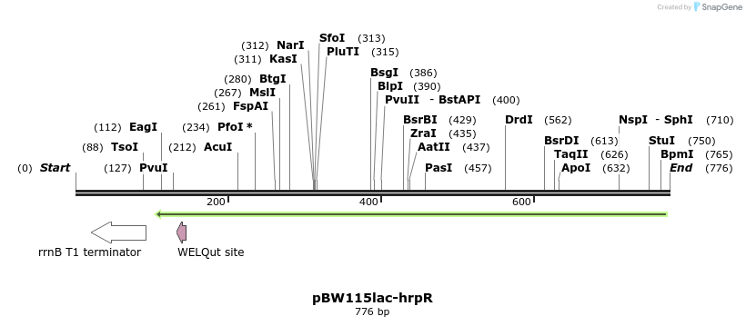 121739_map
