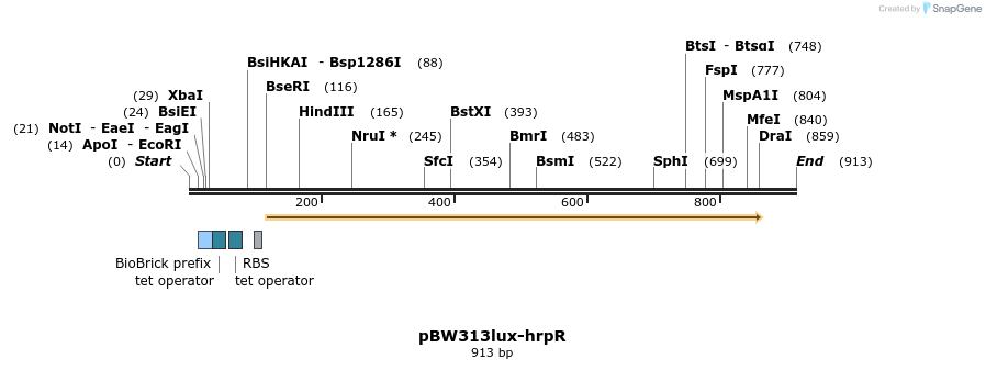 121740_map