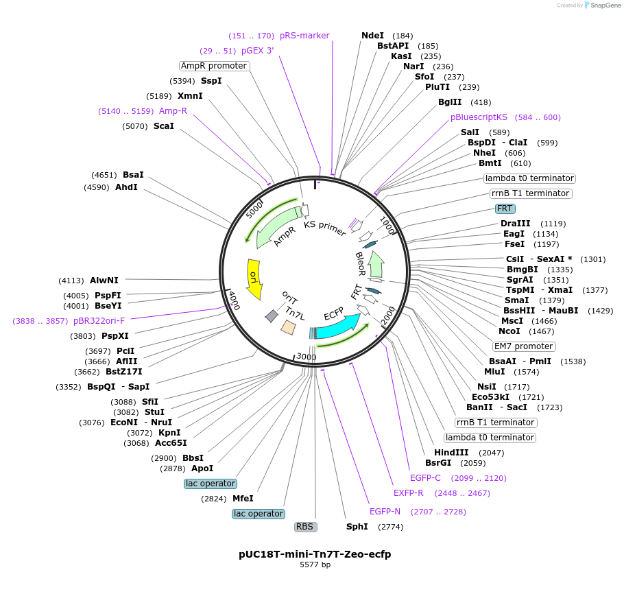 121764_map