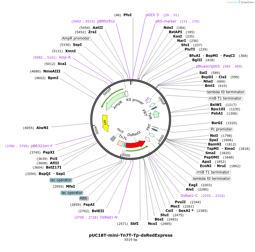 121765_map