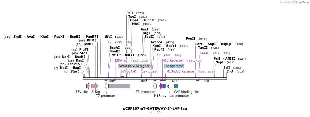 121772_map