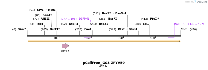 121777_map
