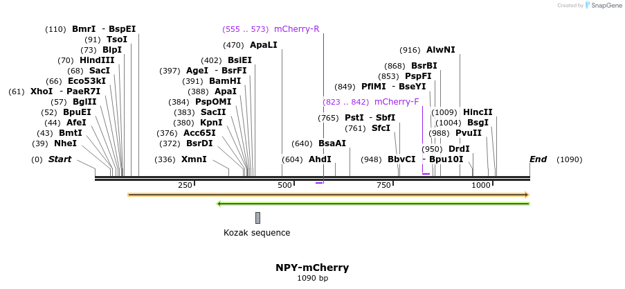 121778_map