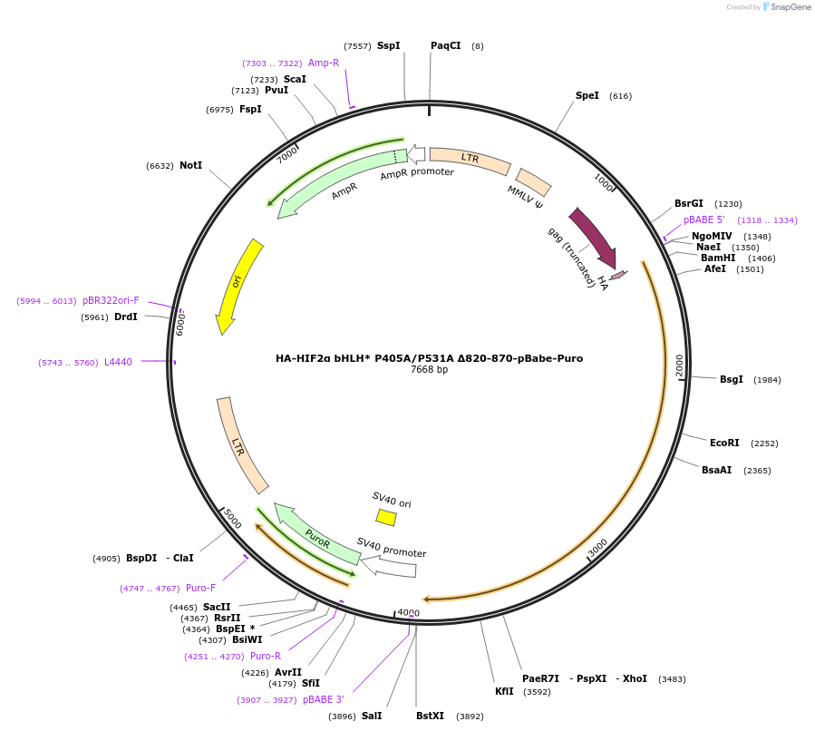 12178_map