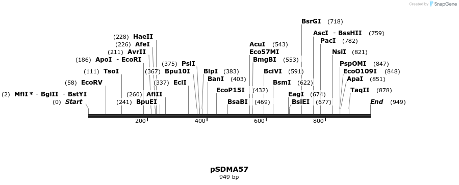 121783_map