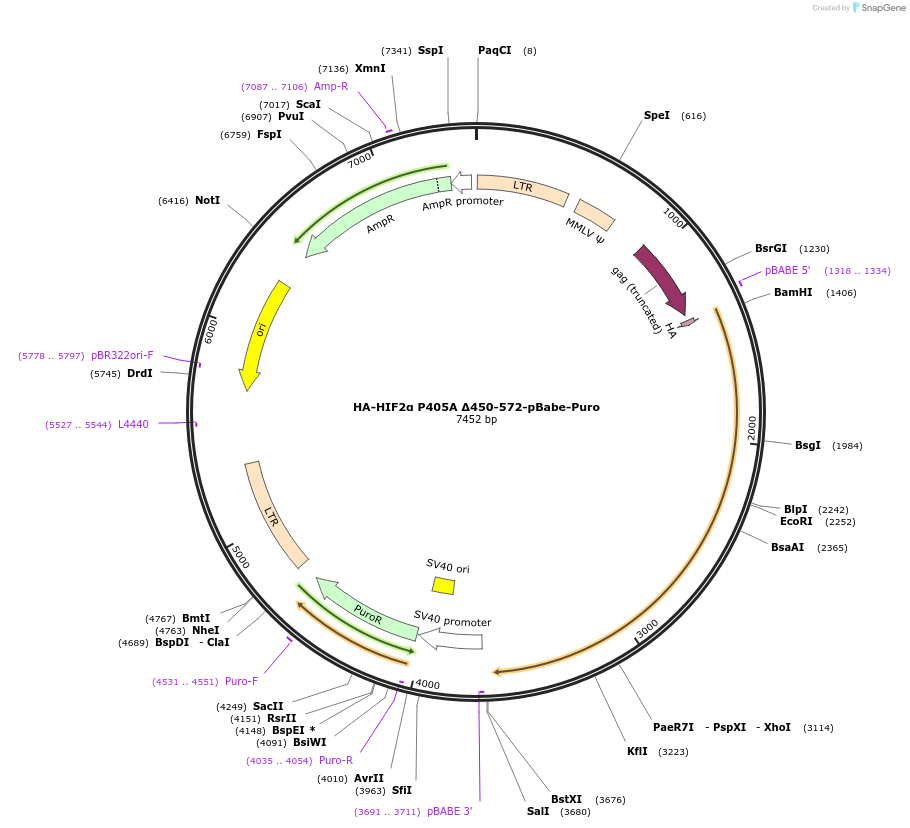 12179_map