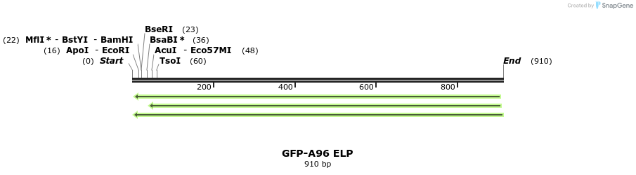 121849_map