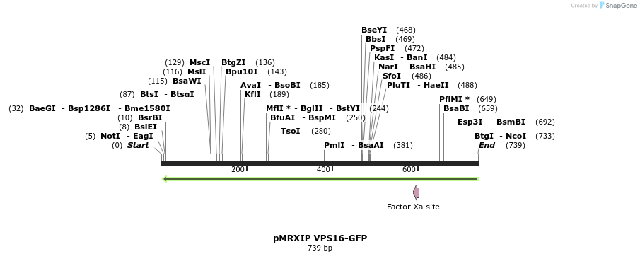 121911_map