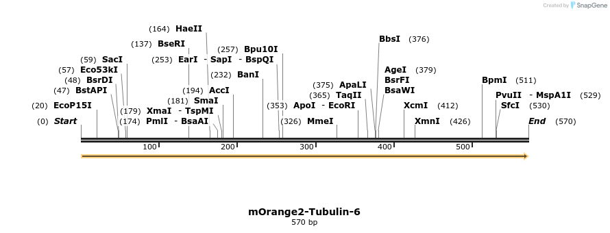121912_map