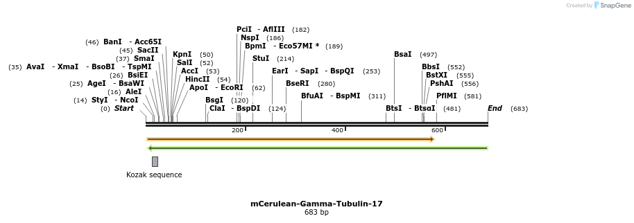 121915_map