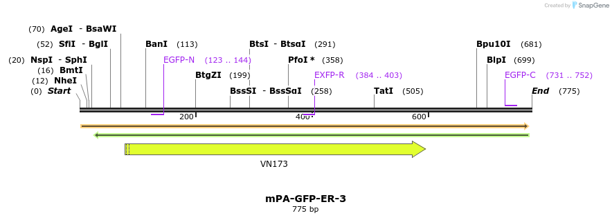 121919_map